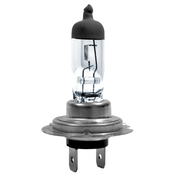 halog-h7-12v
